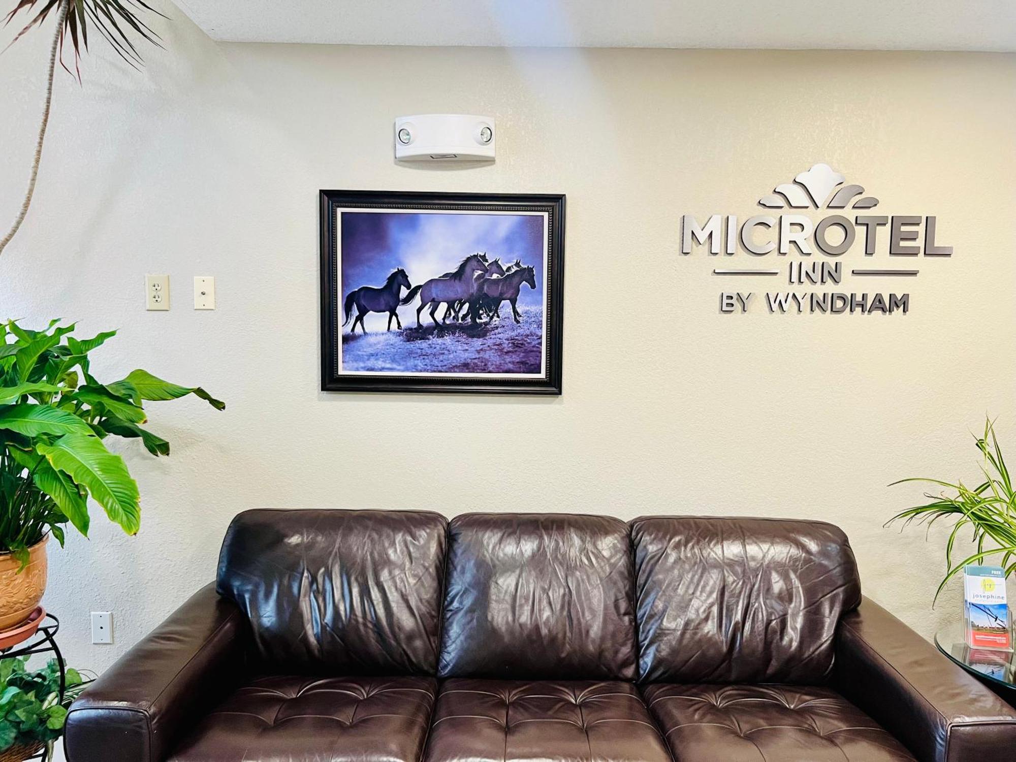 Microtel Inn Georgetown - Lexington North Bagian luar foto