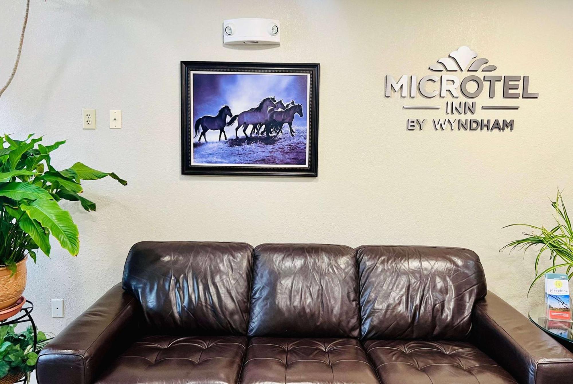 Microtel Inn Georgetown - Lexington North Bagian luar foto